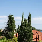 Vrtodusic