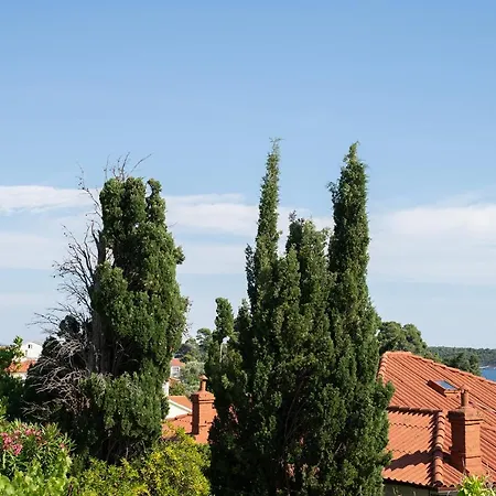 Vrtodusic