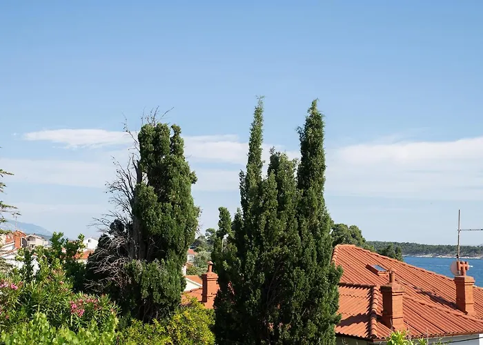 Vrtodusic