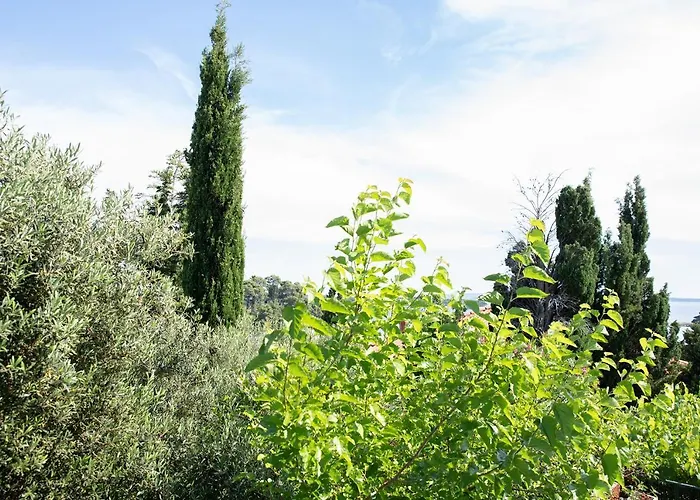 Vrtodusic * Банёл